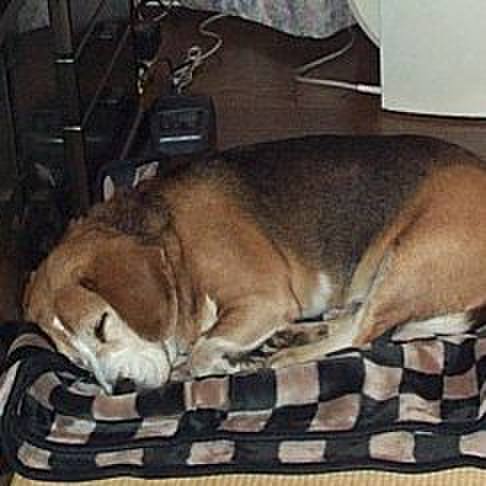 51c45b65 af20 446a 93da f6b5c97d342c 1735604621278