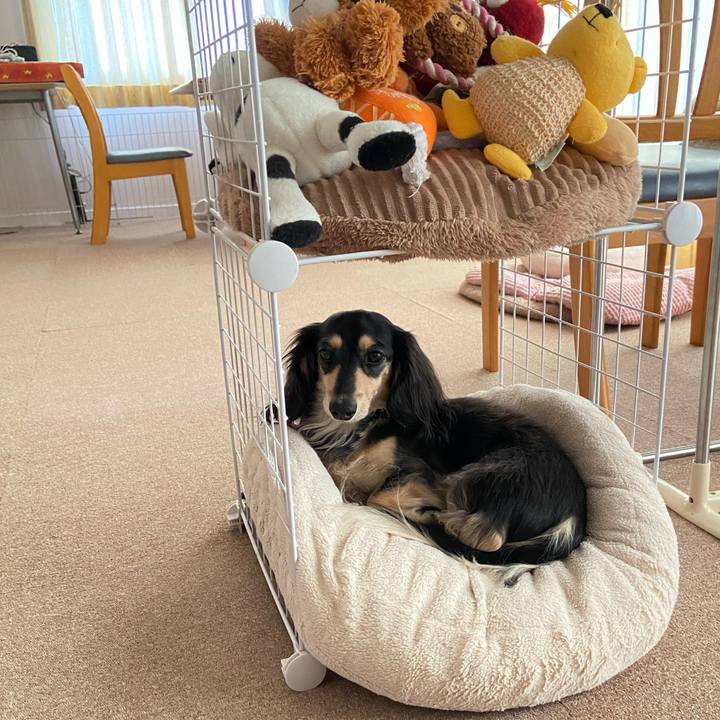 51c4b1ab d93b 49ce 8834 b9e849f5c30e 1739686089957