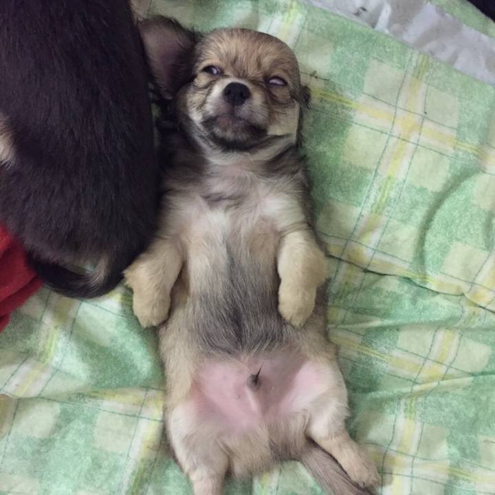 51c51a8e 6212 41c3 aa40 68af3feb809a 1662853830789