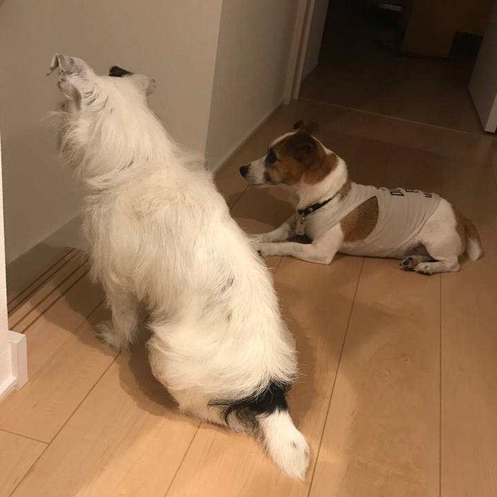 51c521e6 17c6 48f4 aea2 add6d84e4934 1532690395153