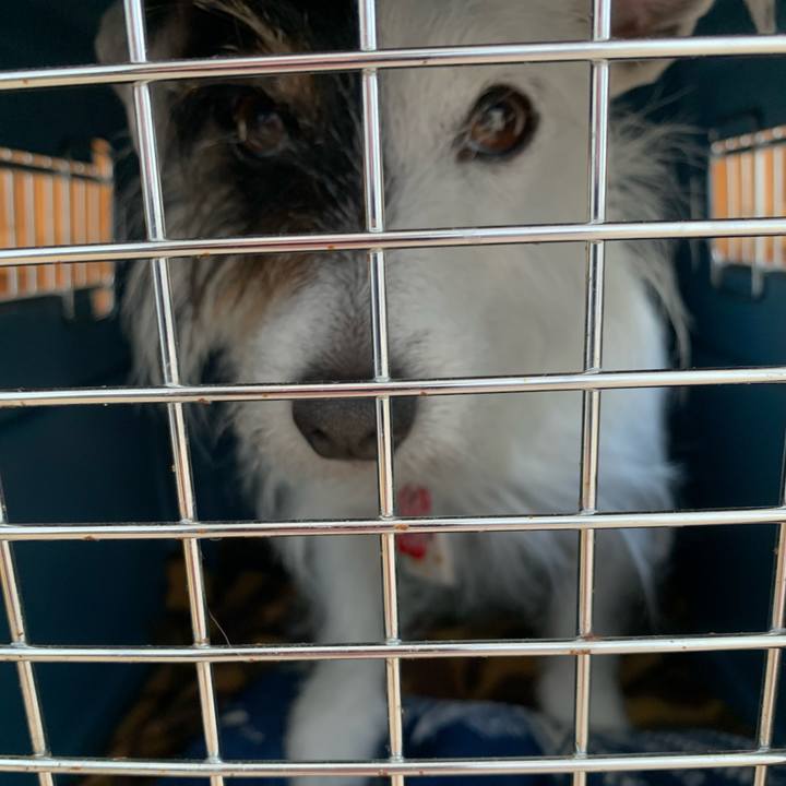 51c5485a b75a 456e b696 c3cac546d2d7 1681269016358