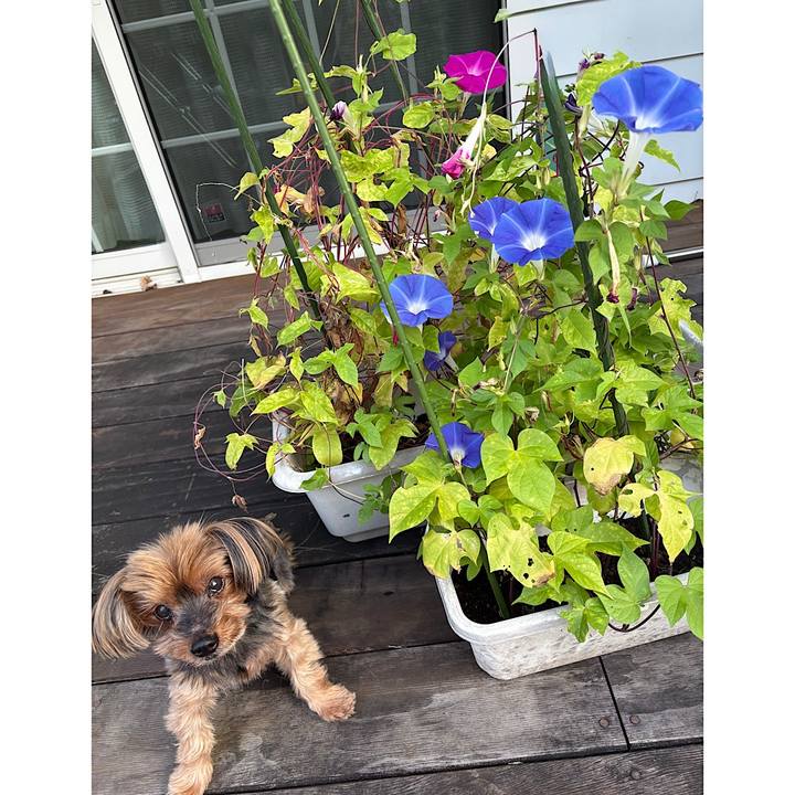 51c57fe4 743d 4b38 a4b5 da683a2b41ab 1758144102118