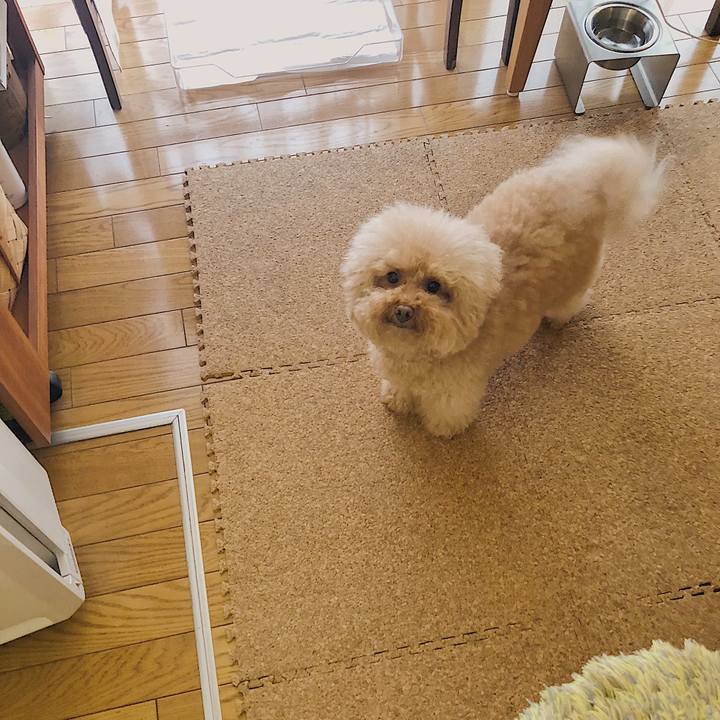 51c5a844 0a76 4238 a09c 4b9a8168a4e7 1534740830603