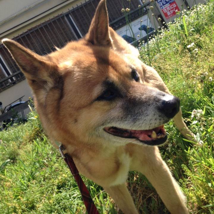 51c5aaf5 a1c1 46cb 8b7d fc93f70e617b 1570230648973