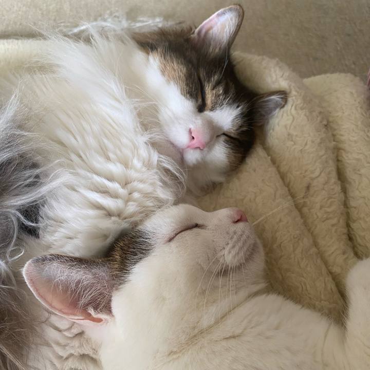 51c5b65b 525a 42c9 9913 a3dcb7073bb4 1688378873423