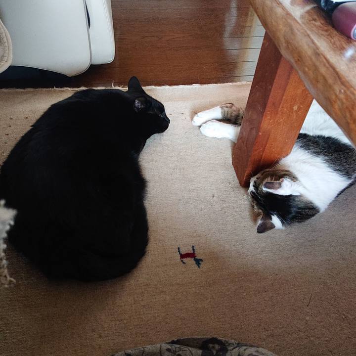 51c5df52 0411 4e92 9a7f 3443c66cabb3 1642464658207