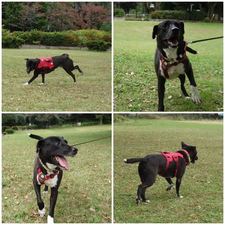 51c60cc5 a663 4324 a423 e858cfeb5ad8 1603413788985