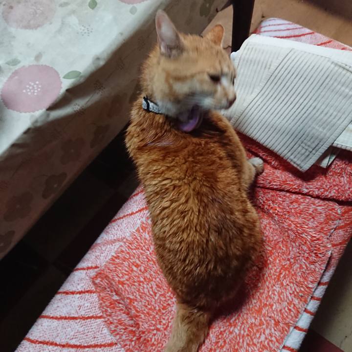 51c671f1 ed9d 4227 b672 efa1ccc05a5b 1587171534142