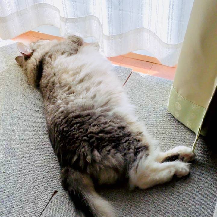 51c68021 eb46 4bb3 aaba c458cf1f658a 1507967628233