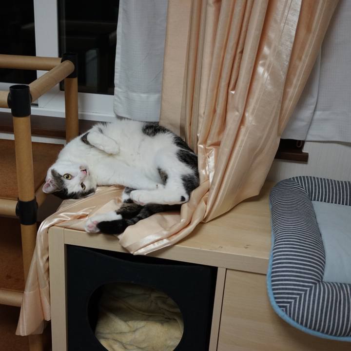 51c6988c 1498 492c 90e9 cd477f217279 1539092106900