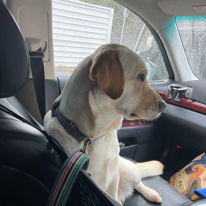 51c6c231 aff9 4101 8820 39658b5586b1 1683963866495