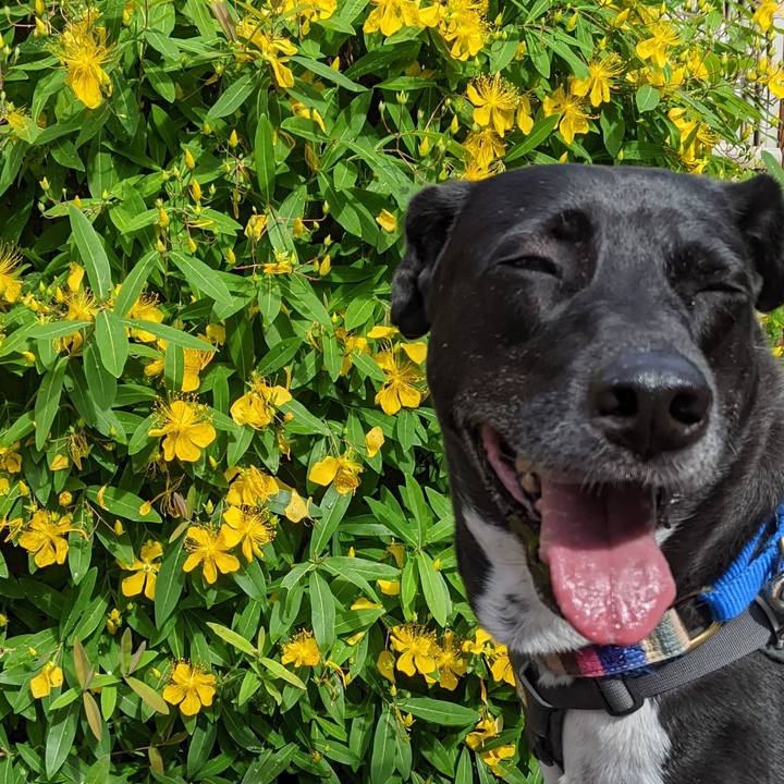 51c73df1 2767 463d 8f55 181142b9672c 1654564169513