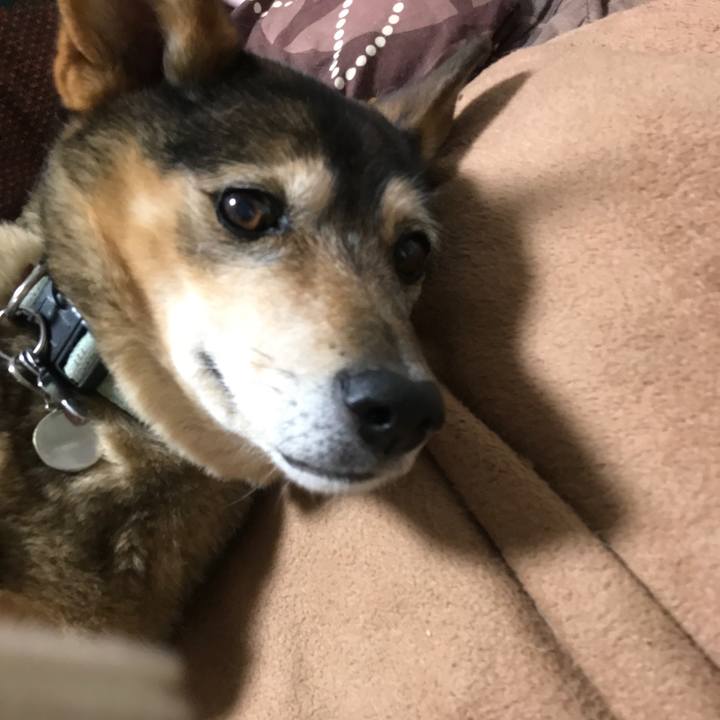 51c73f59 bb9f 4bc1 9575 e4e786678a53 1518174368848