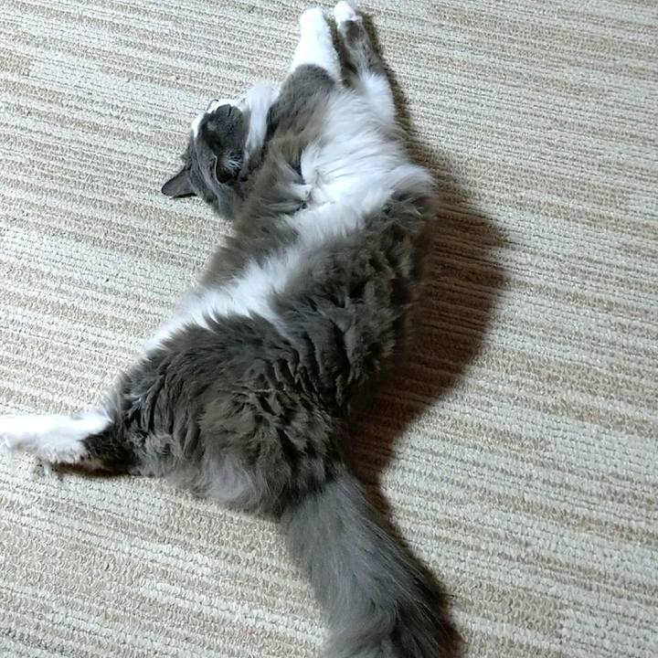 51c76e0e 3c3f 4aef 9b46 5ad18c73e4be 1587553902182