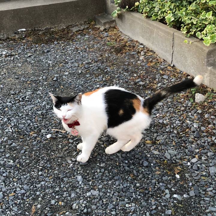 51c775bf 5e25 4d53 970d ee3b8bed729a 1634510565938