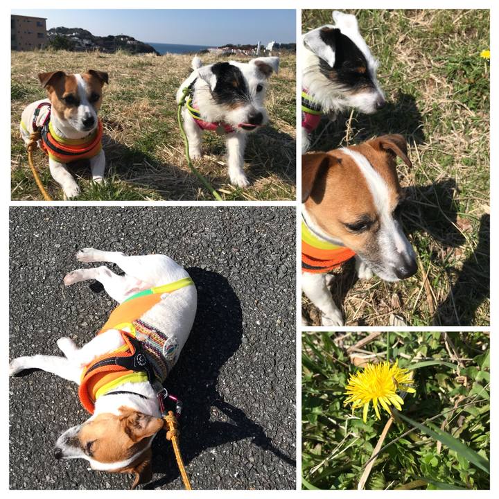 51c787f3 1a20 4673 bd6c 1752552bee0b 1520816118677