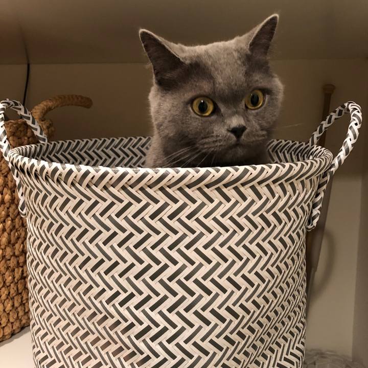 51c794e3 d085 40f9 abaf 40fdc438bf7a 1514254796012