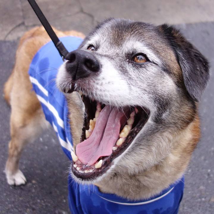 51c7a106 76a7 4e1e 8bf1 15c9c784612a 1560043483282