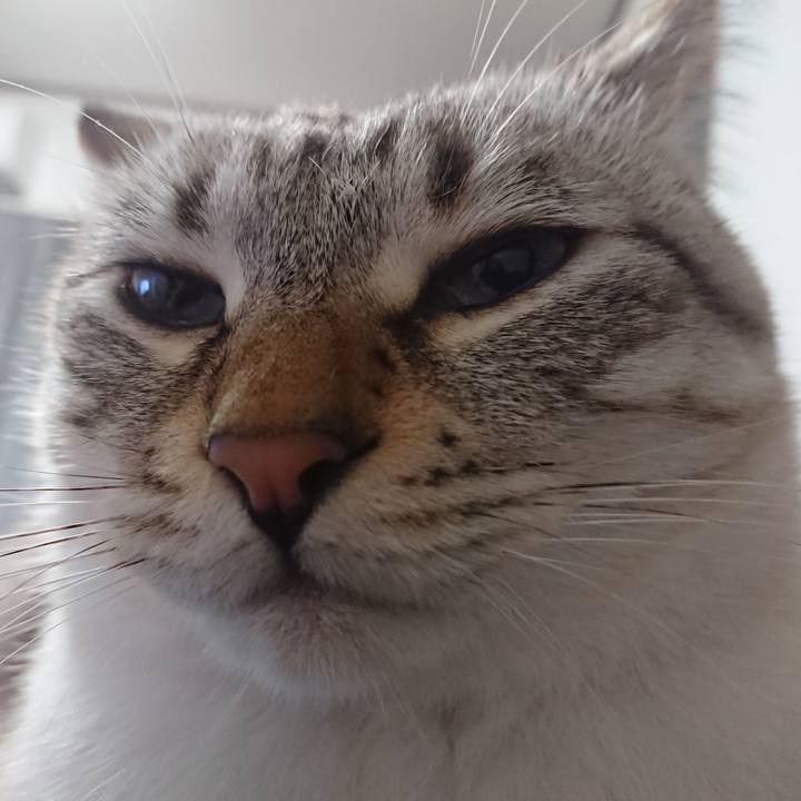 51c7d936 97c7 4b5d b09a 13d452da66e3 1573471663138