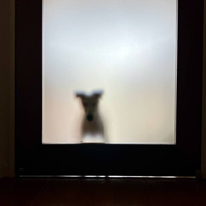 51c7e950 9e72 475f 8ca8 6e392adb3078 1703827774949