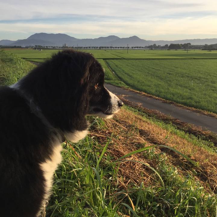 51c83aa2 bd93 4c07 9648 15f780c9f54d 1565310818412