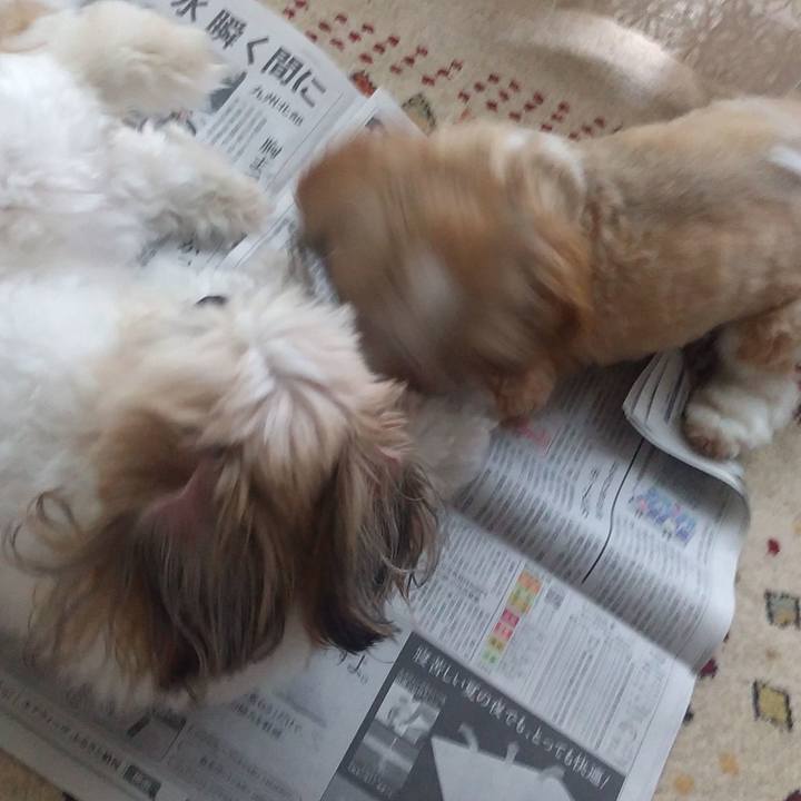 51c84e0e 916f 42b5 b191 48e4f3846e6e 1594166184112