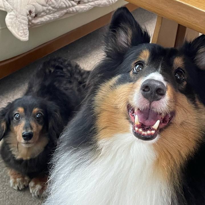 51c865cc 20dd 4908 af33 0ffebd6f2253 1624311436120