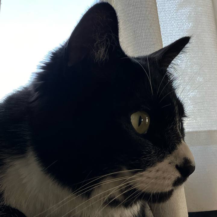 51c86ff6 d2c7 447d 8f9f 386b4fd7a670 1716634642179