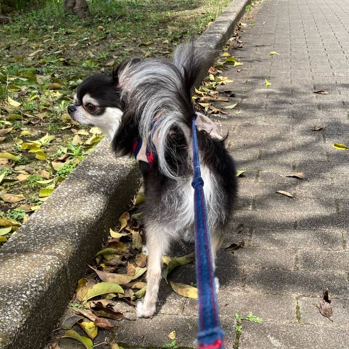 51c894b2 d41b 4683 92e0 75dd67f87dab 1712486188076