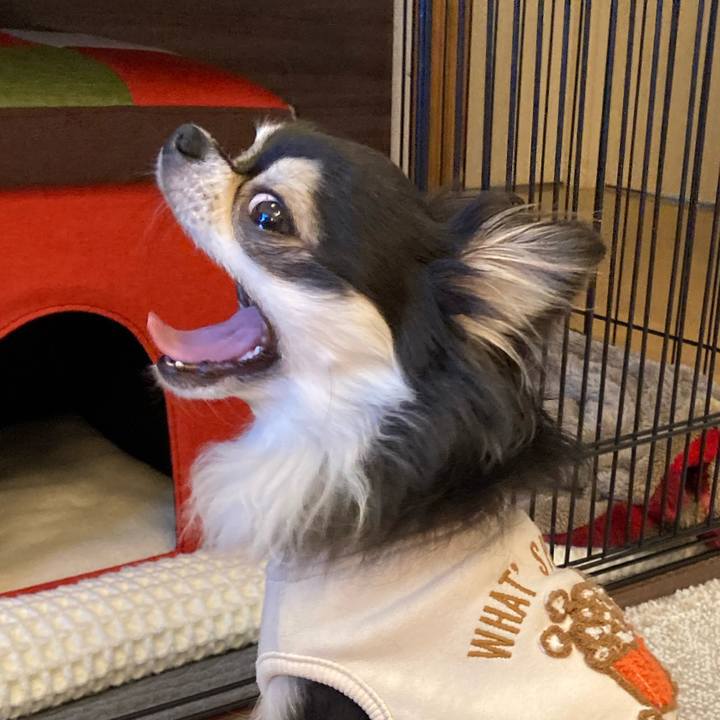 51c8e55c 249b 41f0 b214 b5aba9645c56 1707647842581