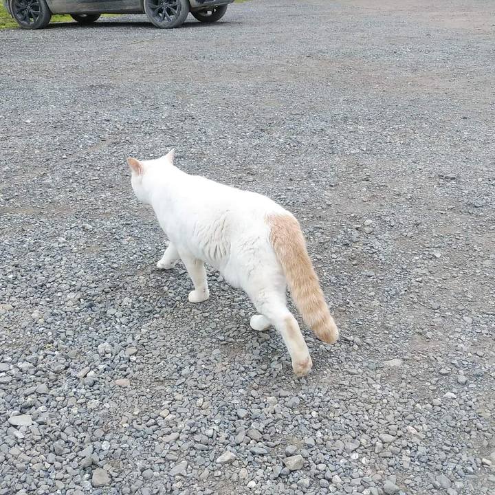 51c8f154 6ef4 4e08 9c80 bb9ddbeb33bd 1655173844308