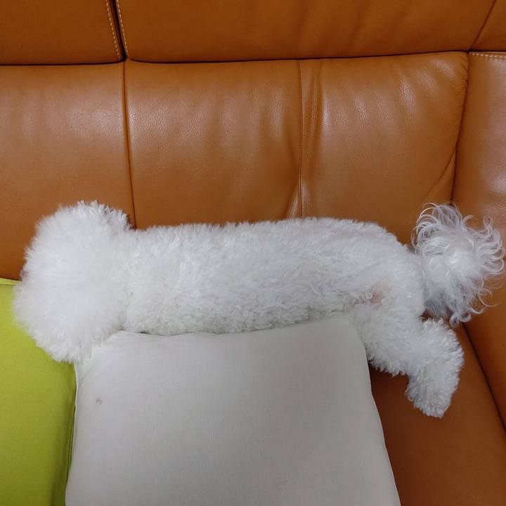 51c8f18d f114 4007 b529 360334e43b66 1691064935324