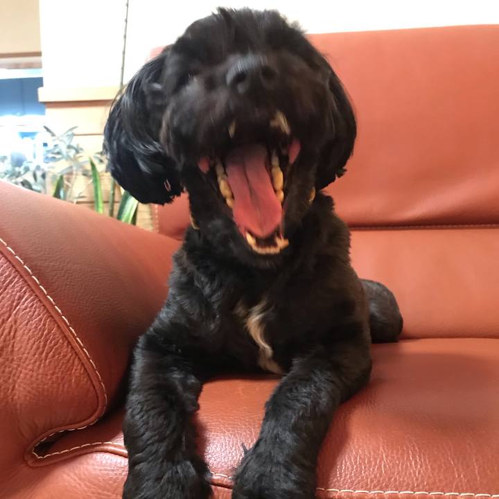 51c91dce 774f 4609 bb5c 506768763ed9 1568789411027