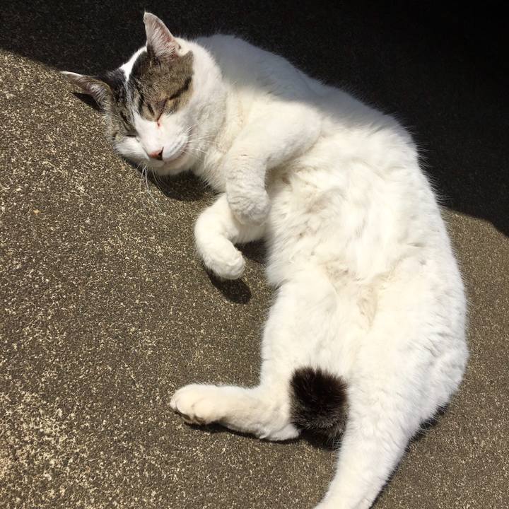 51c92d4e e383 4f56 928f 3b22c9579356 1521854542165