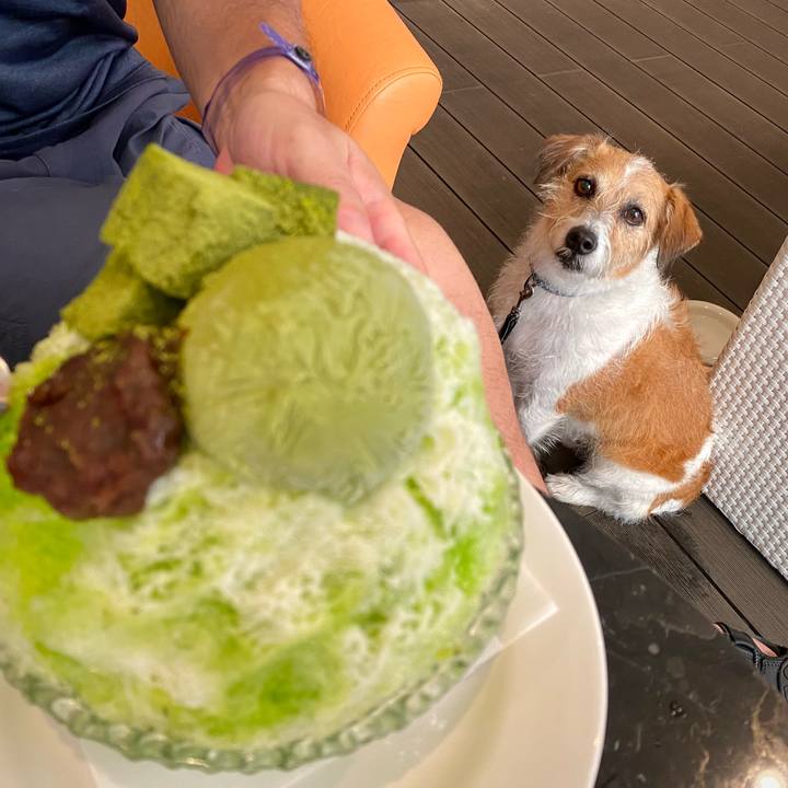 51c94406 13a9 4499 8c03 e9c515b27e8f 1688039851162