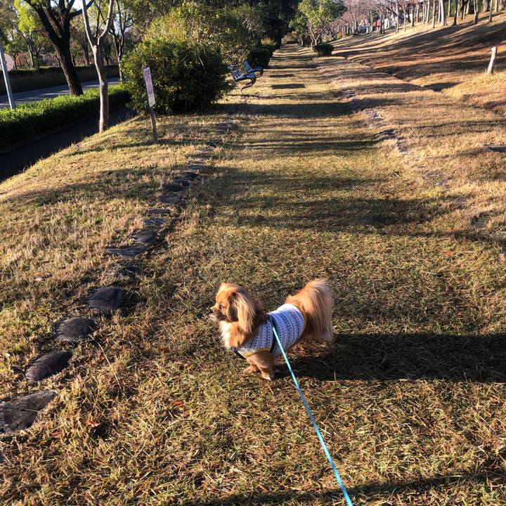 51c94b4a 1dc9 4702 a0ad 8a3ce968accc 1543016770514