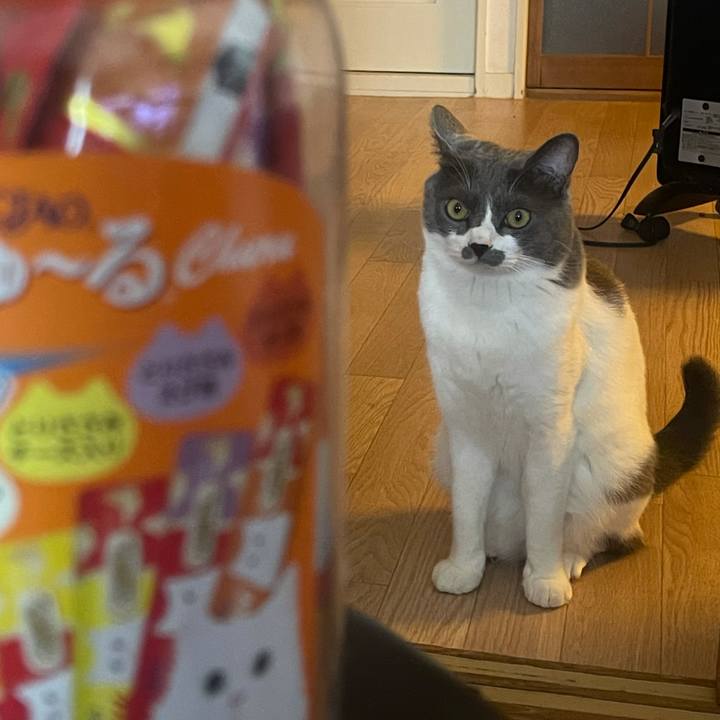 51c95c5f b7e9 4fcc 8293 f1a35853fe5f 1627027588297