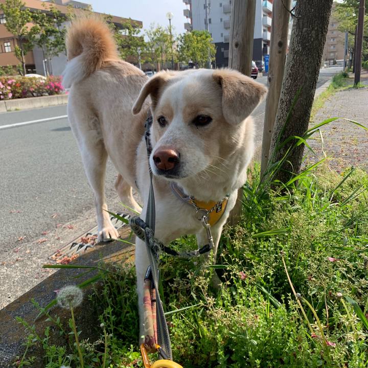 51c98562 a24c 4de3 b79b 8345d1d7ea00 1555977398270