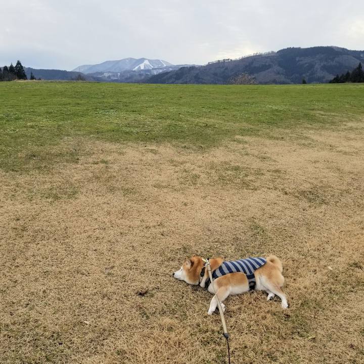 51c99821 d7ad 4d6d b7fb f0f2665a8023 1671599262773