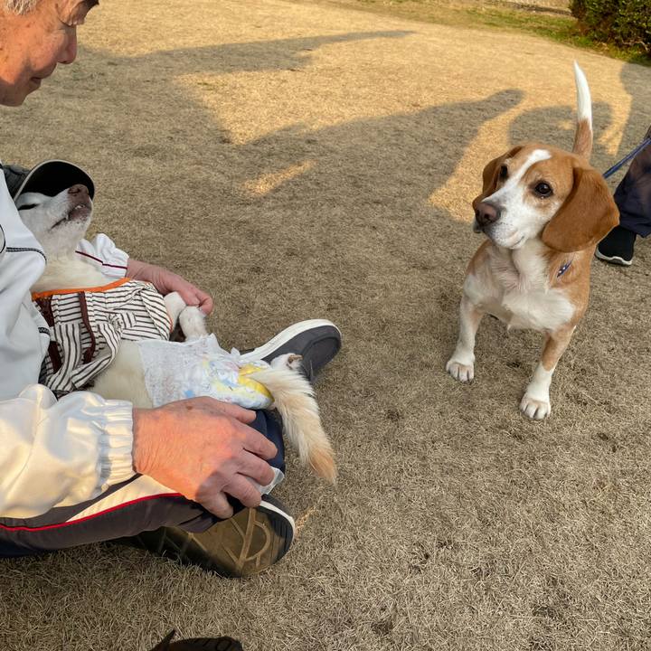 51c9a2d0 c426 47e7 8cd9 1fa0fffc5ec0 1677339195654