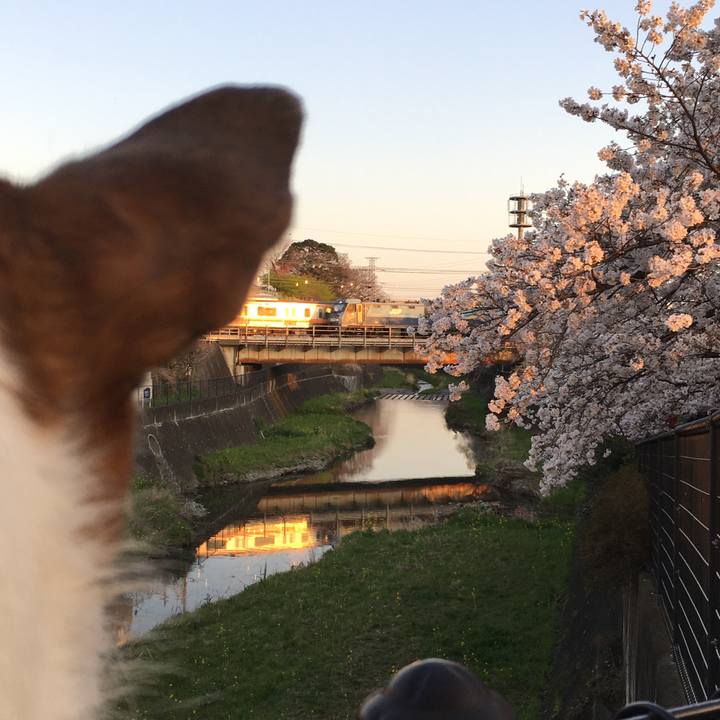 51c9db7e 11fe 4eca 9b6b 8d342add868b 1585264776371