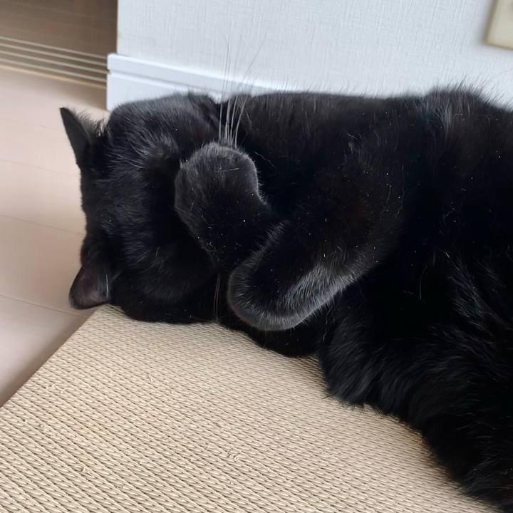 51ca4b08 75d3 46ba 984c f5b6eb12f57d 1665734030965