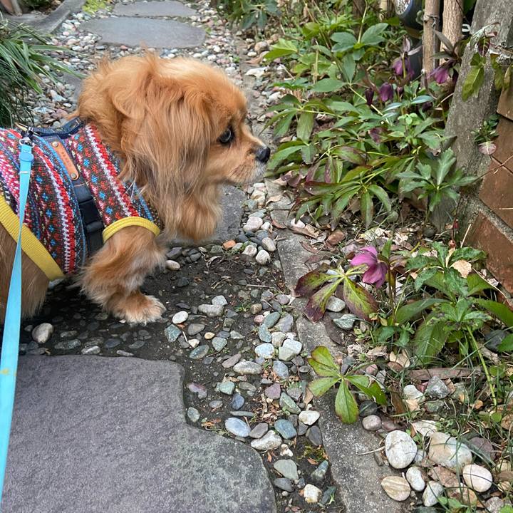 51ca5a87 8066 4545 a3f3 3870c92d73f4 1613944875154