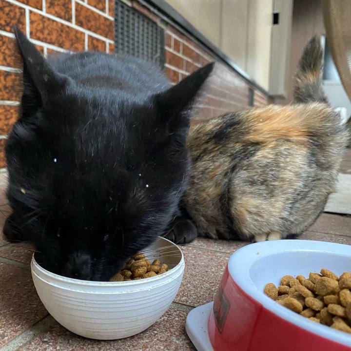 51cab13e 6ddb 4652 a3fb b70d1eb3e4e4 1764717268187