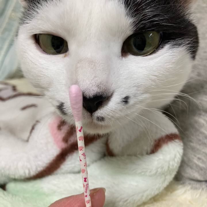 51cb0f43 01b1 46d2 946a 9d5a03f5cfb5 1763294923393