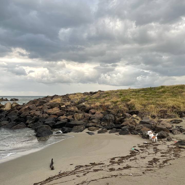 51cb25b3 783d 48ee af82 3ed005ce3606 1730766036999