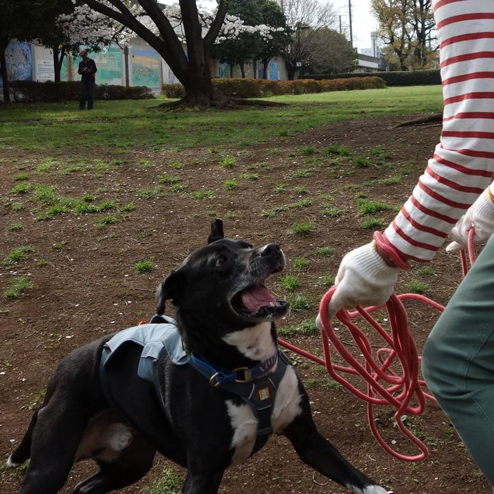 51cb37b9 7af2 4d50 9633 01d247e79872 1712539885234