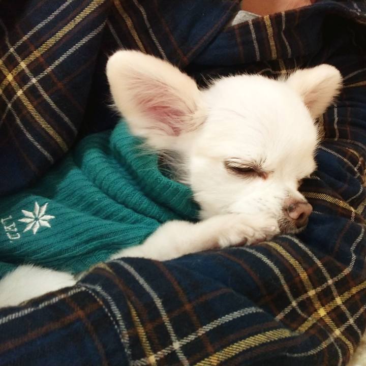 51cb4b3b 566f 4e55 aff6 9782f26906fd 1578900113665