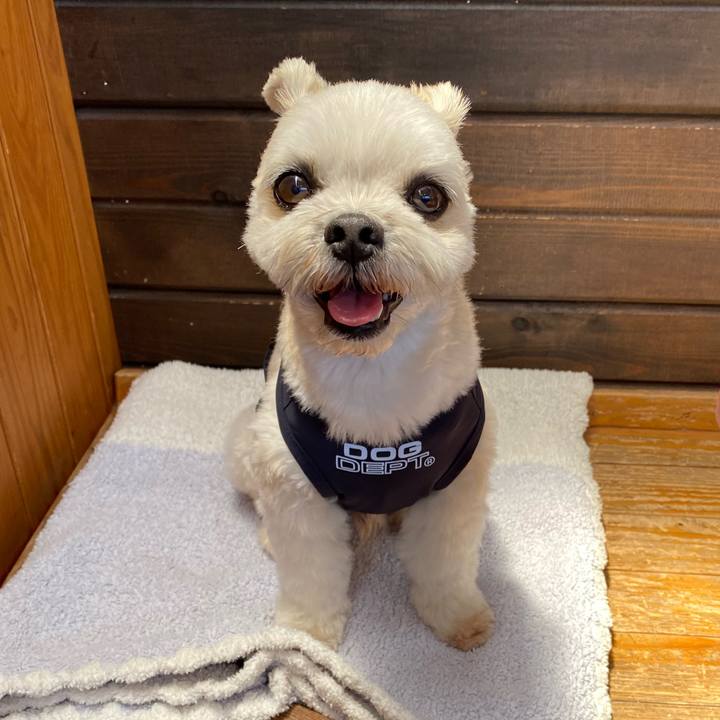 51cb6955 546f 49fc 9eb6 2847ce049cdd 1653804279788