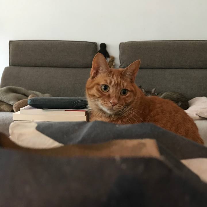 51cba56c 9220 485c b889 7a8e181edcd5 1516169585328